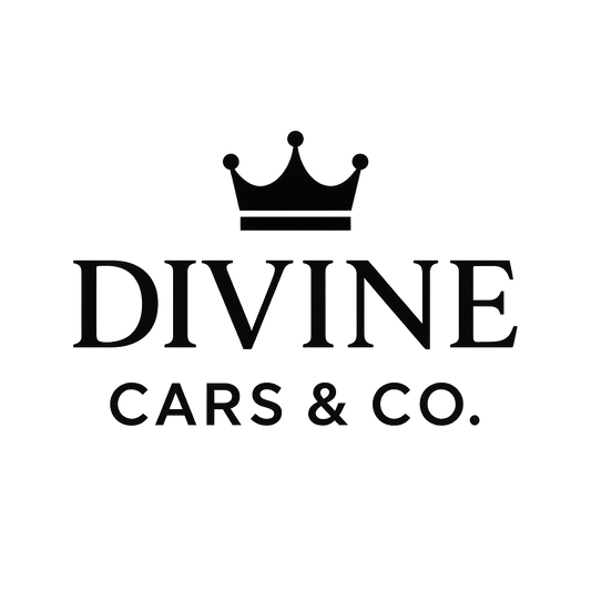 The Divine Auction Q&A Call (30 Minutes)